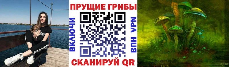 ОМГ ОМГ вход  Похвистнево  Псилоцибиновые грибы Cubensis  купить наркотик 